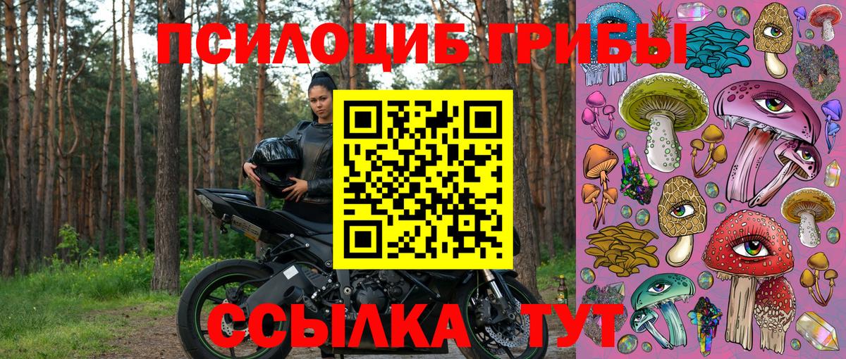 Псилоцибиновые грибы мухоморы Красный Сулин