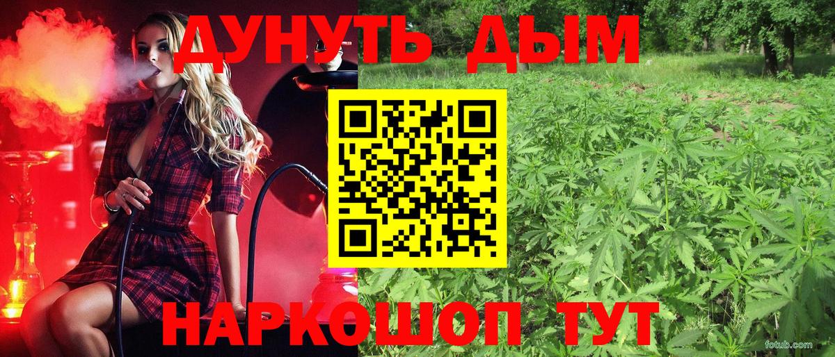 Бошки марихуана SATIVA & INDICA Красный Сулин